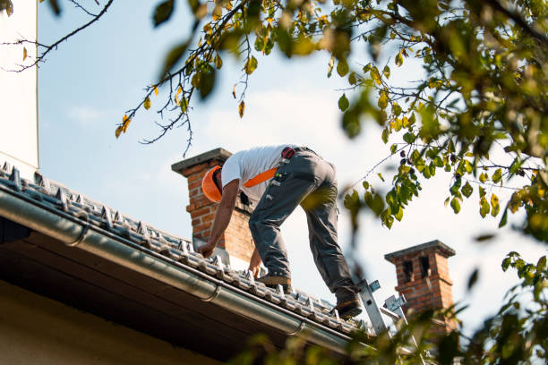 Best Roof Gutter Cleaning  in Plover, WI