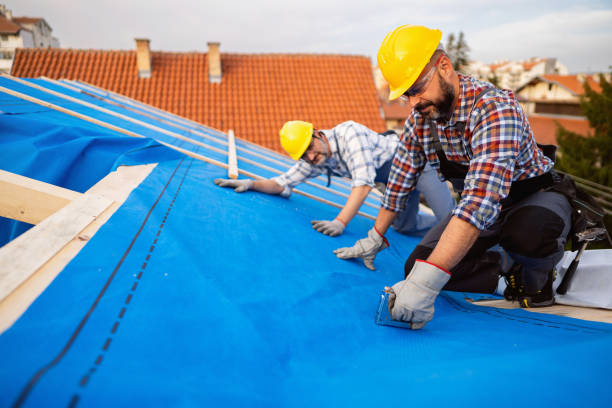 Best Local Roofing Companies  in Plover, WI